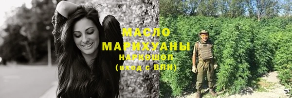 мдпв Богородицк