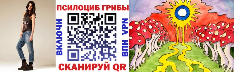 Псилоцибиновые грибы Magic Shrooms  купить наркотики цена  KRAKEN ССЫЛКА  Болотное 